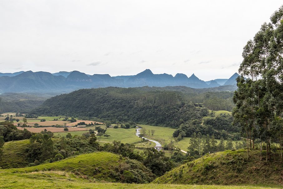 A imagem mostra um campo com montanhas e árvores. A imagem ilustra o texto 