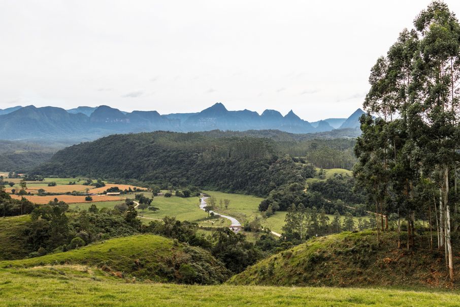 La imagen muestra un hermoso paisaje rural. ilustrando el articulo "Compra de tierras por extranjeros en Brasil: reglas y posibilidades." koetz advocacia.